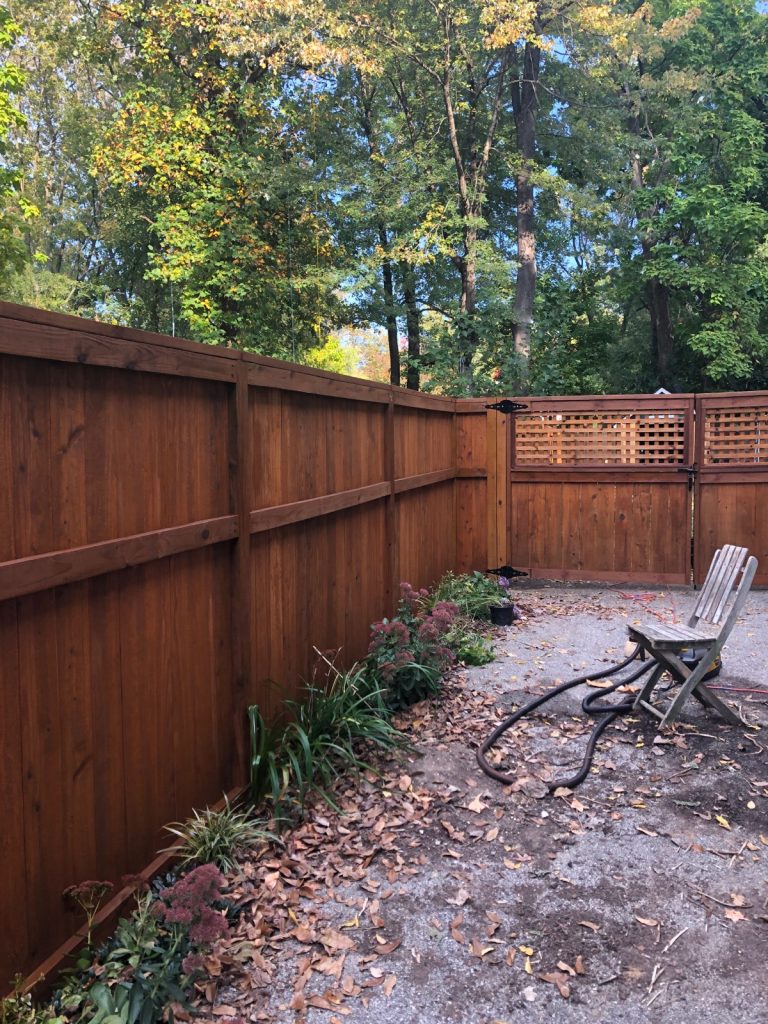 fence  against back patio area